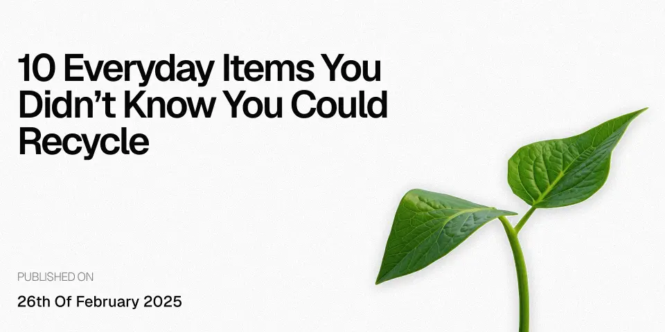 10 Everyday Items You Didn&rsquo;t Know You Could Recycle