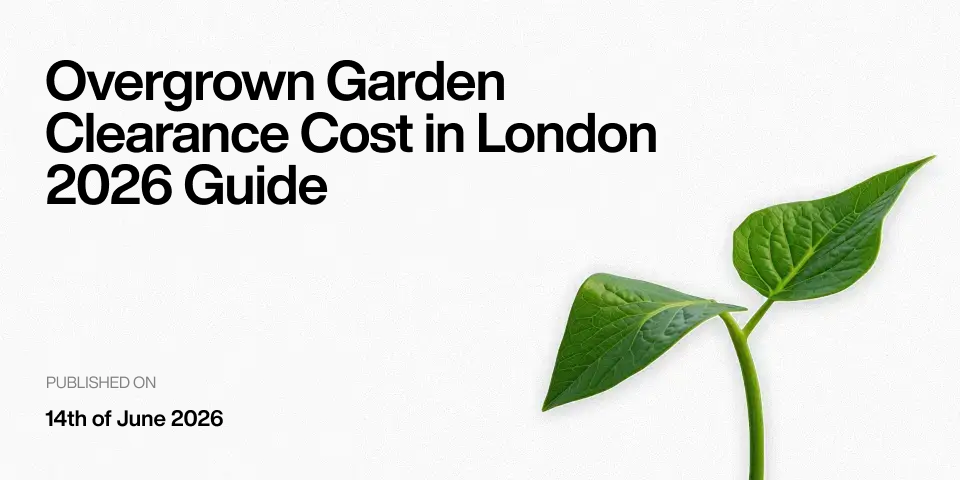 Overgrown Garden Clearance Cost Guide (2026): How Much Does Garden Clearance Cost?