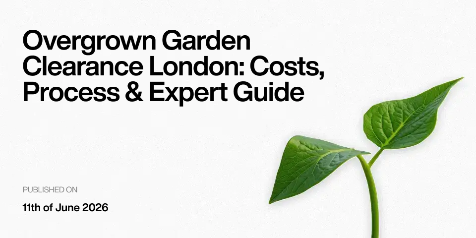 Overgrown Garden Clearance London: Costs, Process & Expert Guide